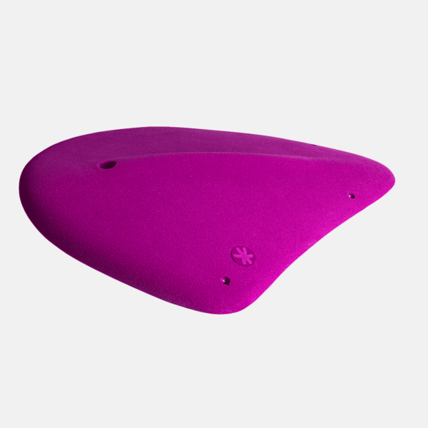Flex 01 – Image 2
