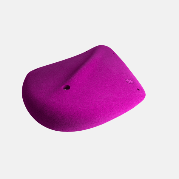 Flex 02 – Image 3